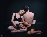 David AMADIEU - AMADIEU DAVID