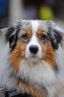 Ahmed BENAZZOUZ - AHMED BENAZZOUZ (AZURA)